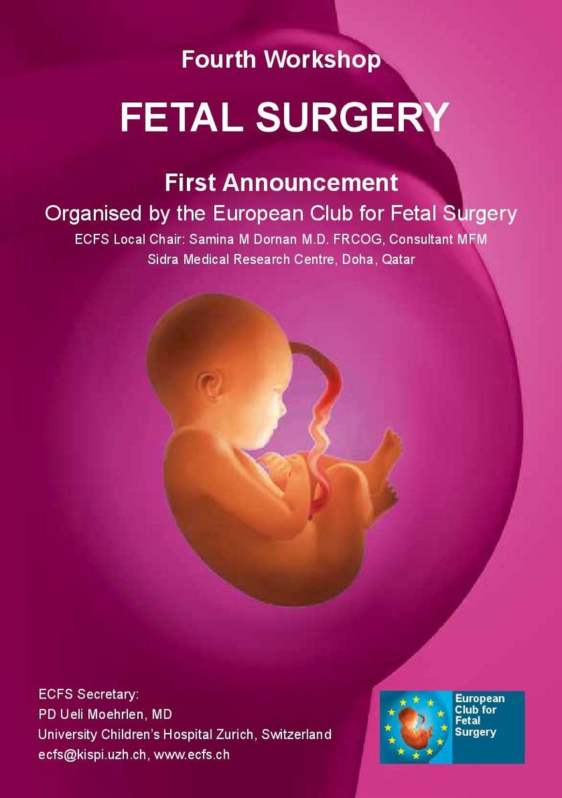 Fourth Workshop of the European Club for Fetal Surgery (ECFS)