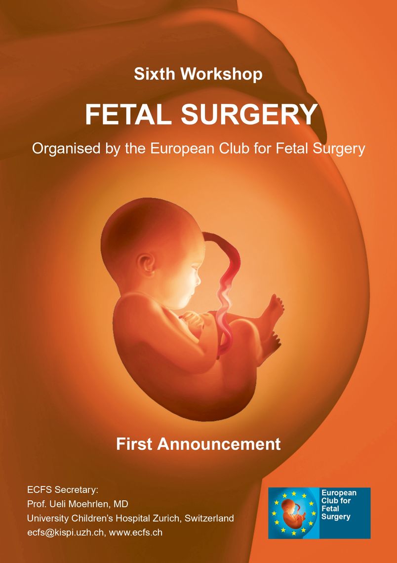 Sixth Workshop of the European Club for Fetal Surgery (ECFS)