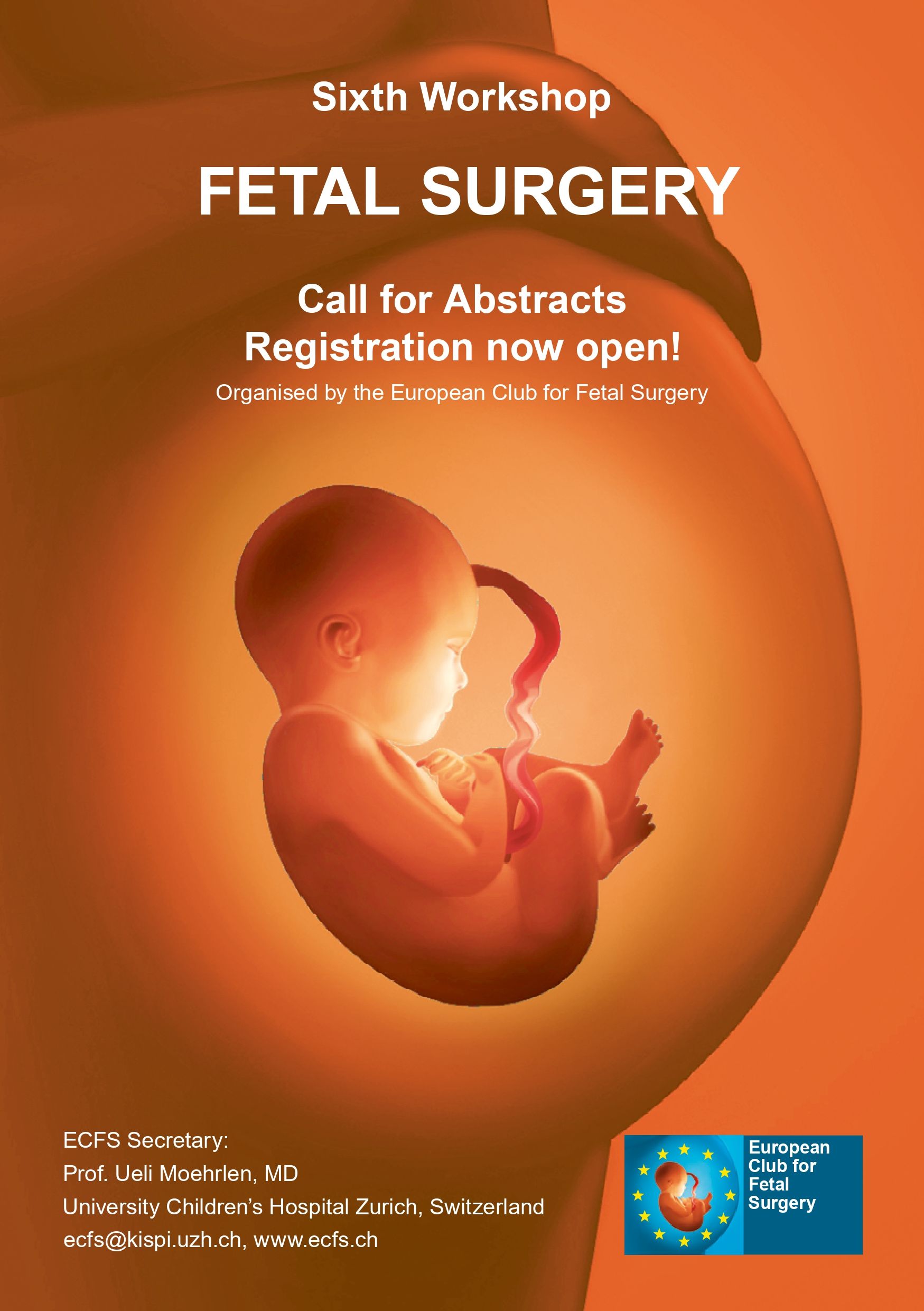 ecfs2026 callforabstracts web page 0001